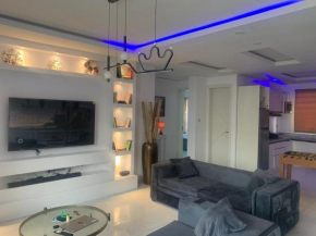 Elegant Apt &Private Art Gallery